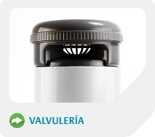 valvuleria